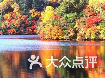 泰坦陨落2