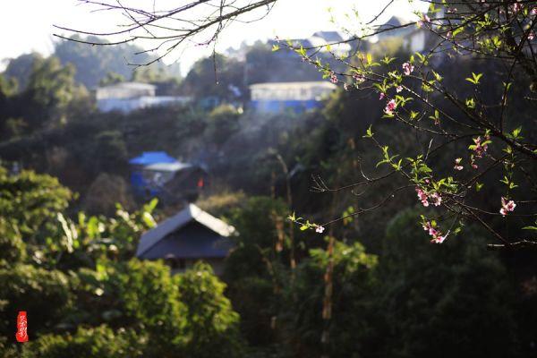 山东大学考古工作站落户淄博
