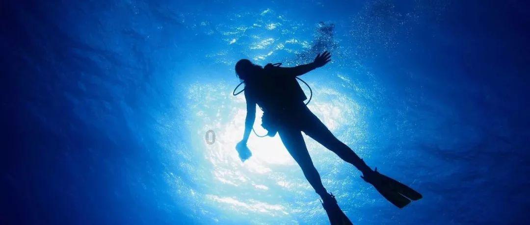 点赞崔康熙！搬运全北夺冠锋线组合，莱昂纳多喊话瓦科：我来了