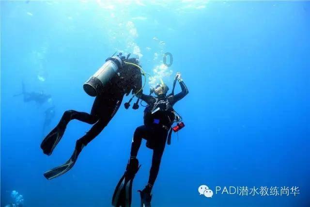 武斗纹章2初篇