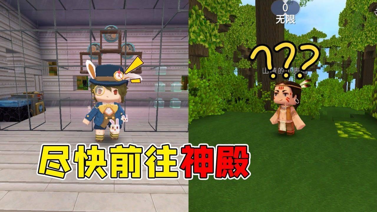 猴猫共处引发热议！昆明动物园决定采取行动，张馨予发声呼吁尊重动物自然习性