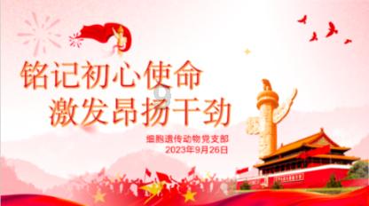 跌势如潮 玉米1元/斤保不住了……
