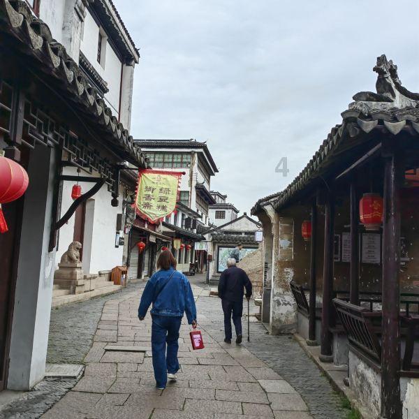拯救精灵的土地8