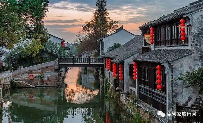 菠菜的功效如何呢游戏画面