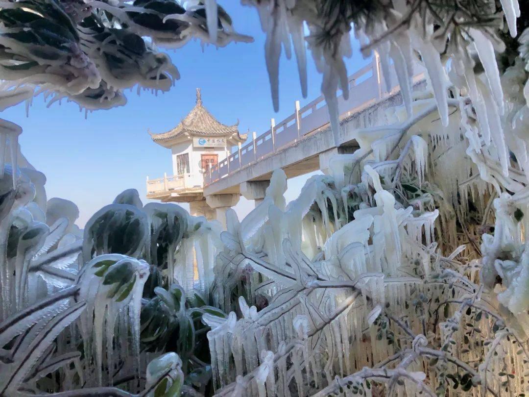永夜星河：虞书欣不夹了，陈都灵不土了，我却被43岁阿娇惊艳了